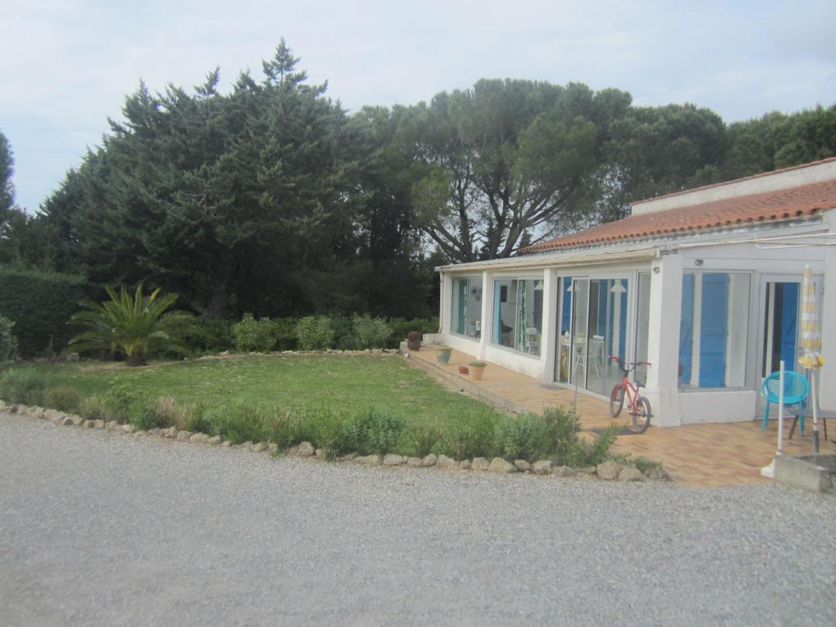 Studio Avec Piscine Sur 3000 Metres De Terrain Apartment Marcorignan Exterior photo